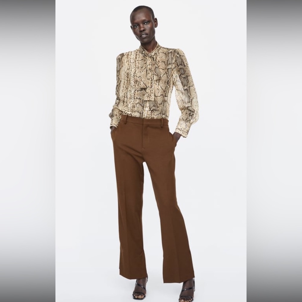 Zara blouse